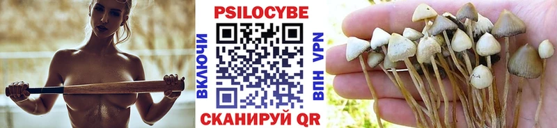 Псилоцибиновые грибы мухоморы  Палласовка 
